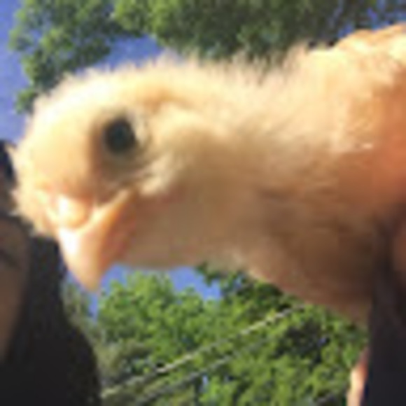 Meet your Posher, Olivia - Picture 1 of 1